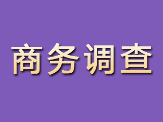 吉林商务调查